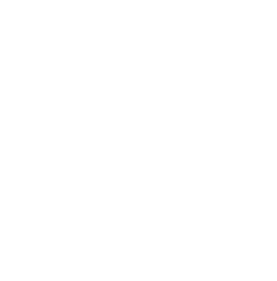 Manejo de Datos: Big Data y Data Mining