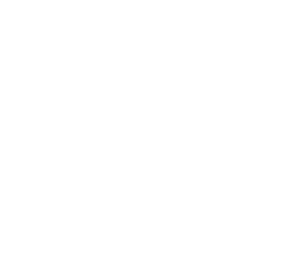 Gestión de Calidad y Testeo de Software