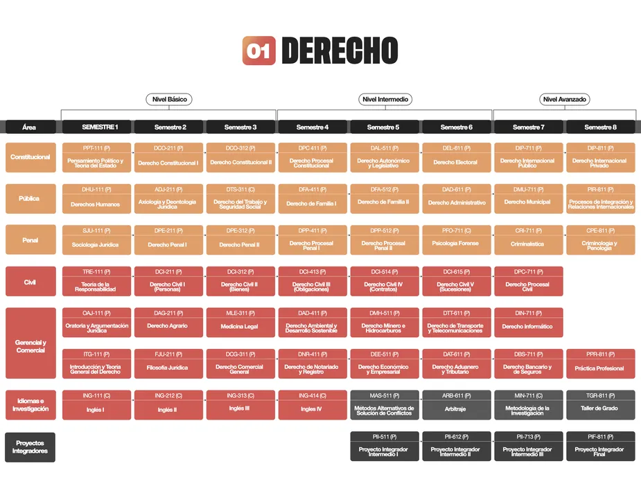 Programa de estudios de la carrera de Derecho