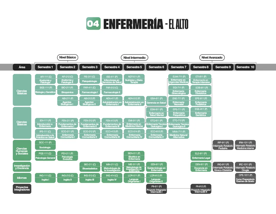 Programa de estudios de la carrera de Enfermería - [MALLA EL ALTO]