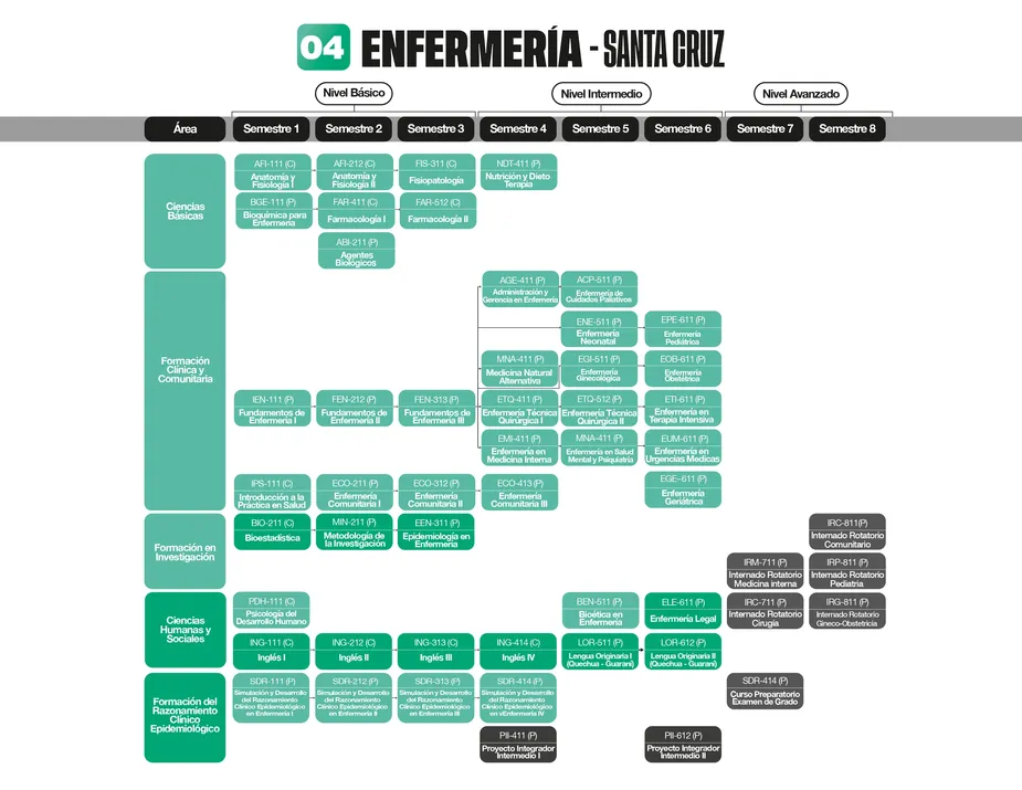 Programa de estudios de la carrera de Enfermería - [MALLA SANTA CRUZ]