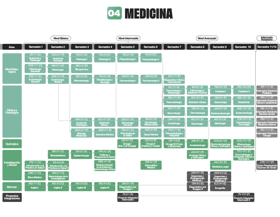 Programa de estudios de la carrera de Medicina