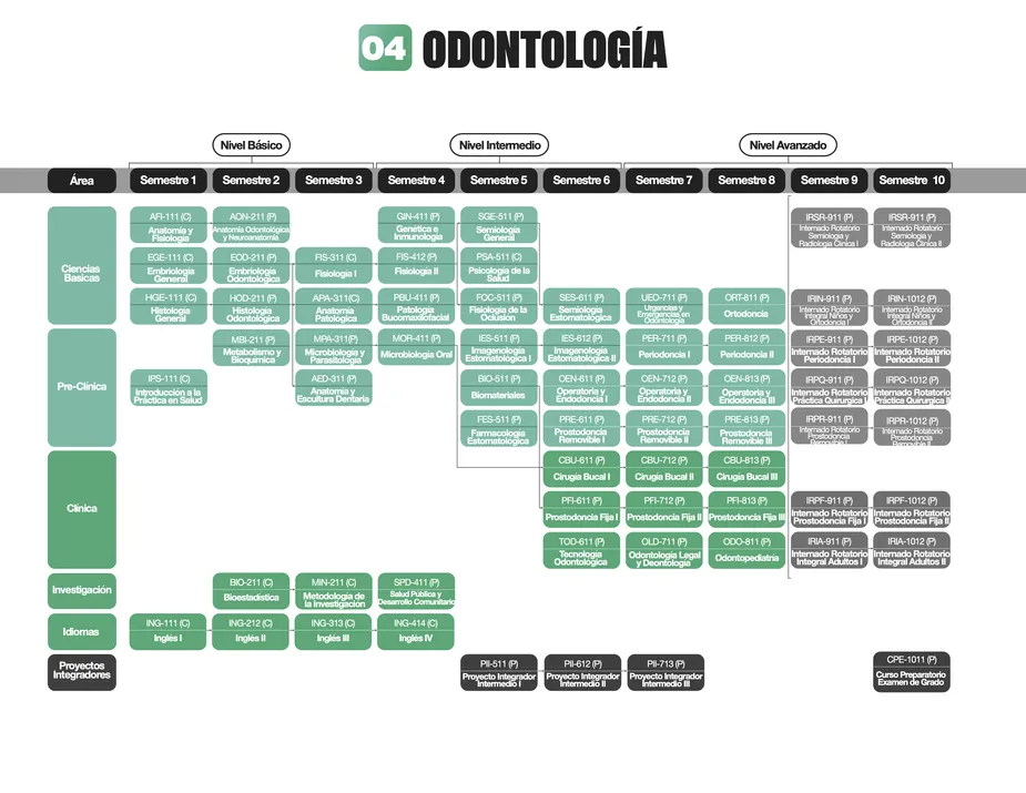 Programa de estudios de la carrera de Odontología