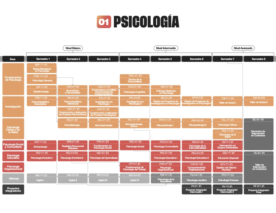 Programa de estudios de la carrera de Psicología