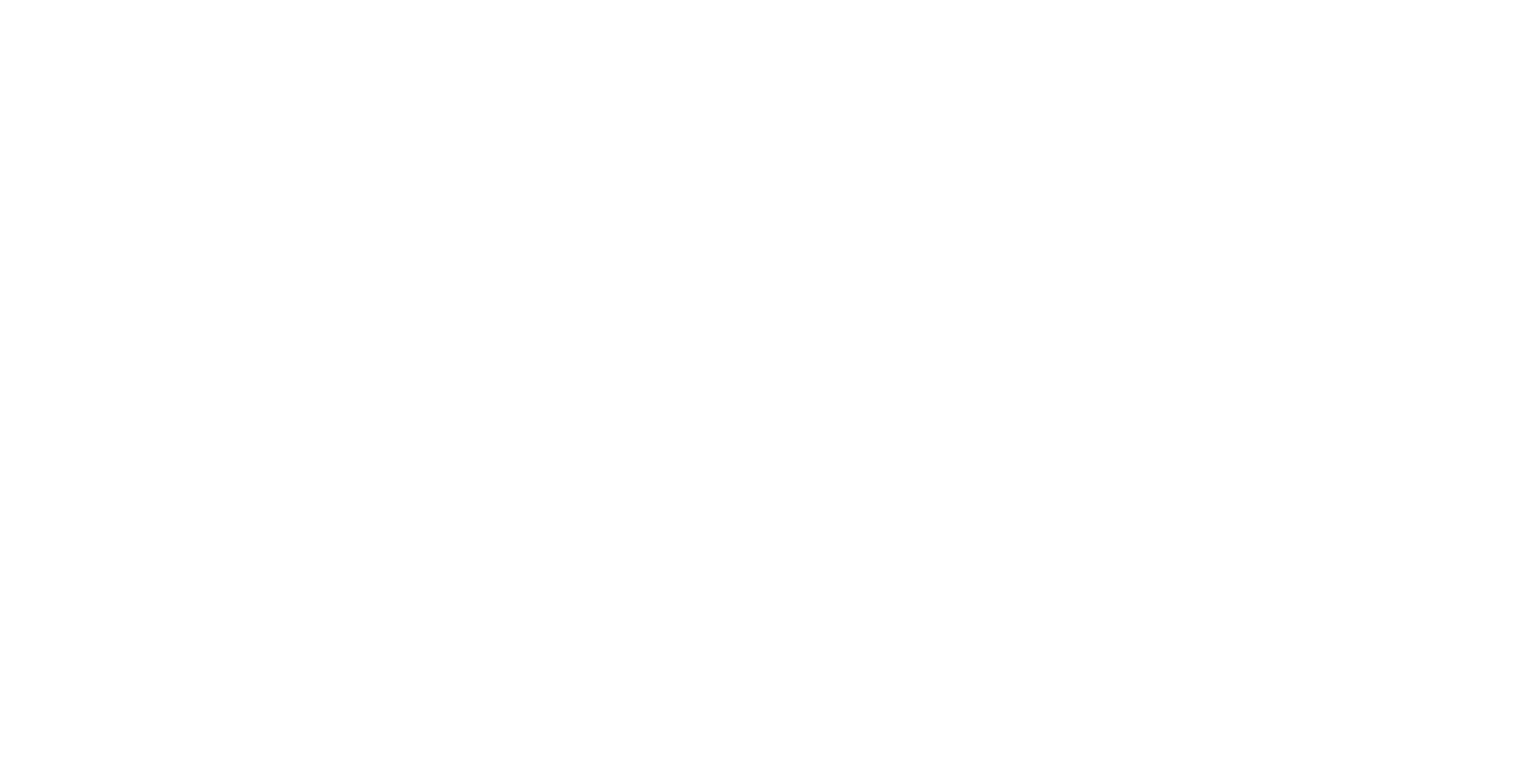 Competencias profesionales de la carrera de Ingeniería Comercial