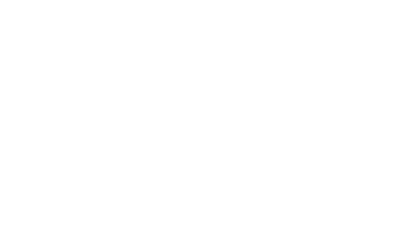 Competencias profesionales de la carrera de Ingeniería Economica